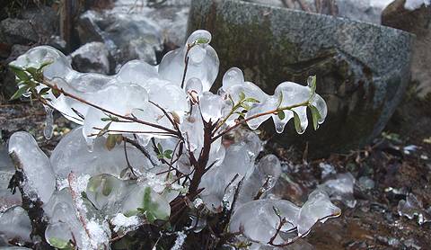 DSCF4084.jpg