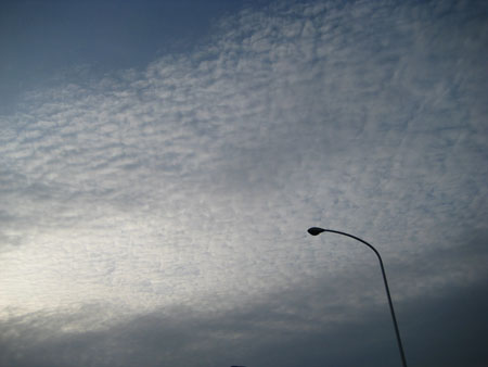 IMG_4230.JPG