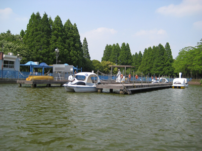 IMG_4665.JPG