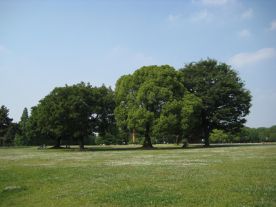 IMG_4685.JPG