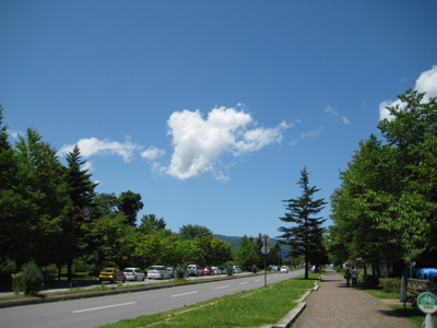 IMG_4833.JPG