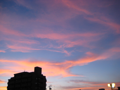 IMG_4847.JPG
