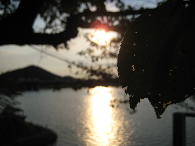 IMG_5405.JPG