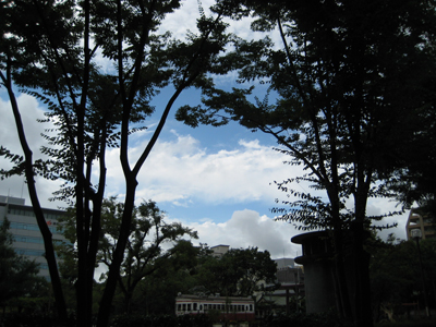 IMG_5684.JPG