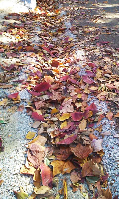101120_1203~01.jpg