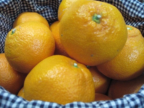 mikan.jpg