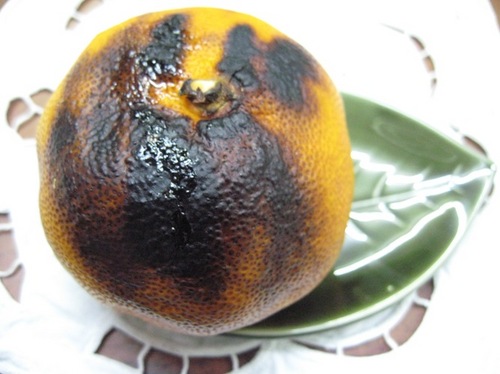 yakimikan.jpg