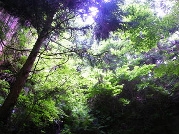R0015273.JPG