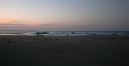 R0018110.JPG