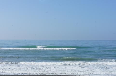 DSC01562.JPG