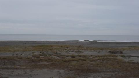 DSC04822.JPG