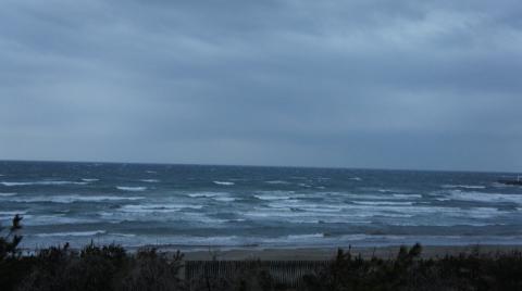 DSC08074.JPG