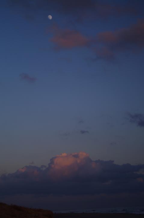 IMGP0744.jpg