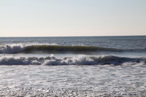 IMG_8533.JPG