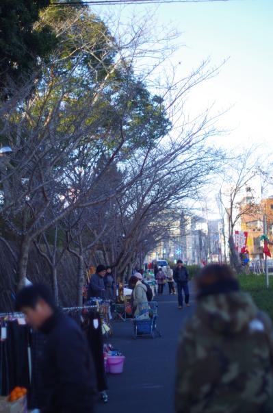 IMGP2481.jpg