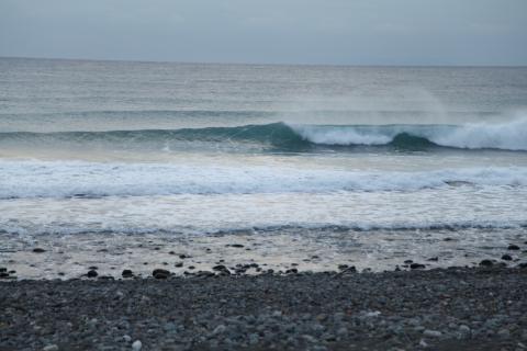 IMG_8631.JPG