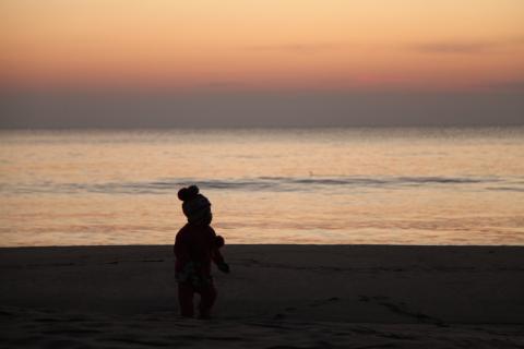 IMG_8795.JPG