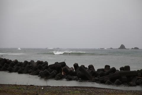 IMG_8873.JPG
