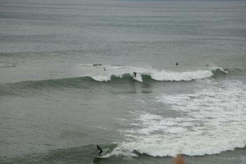 IMG_8922.JPG