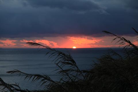 IMG_8935.JPG