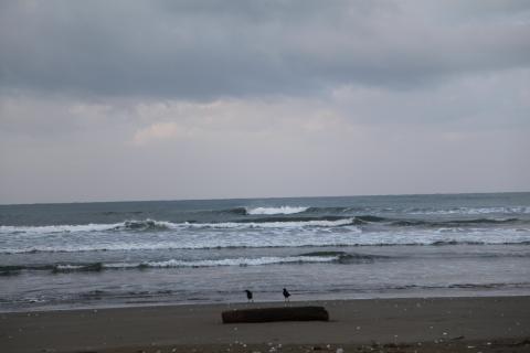 IMG_9122.JPG