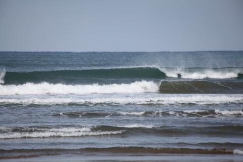 IMG_9420.JPG