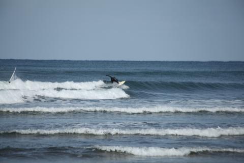 IMG_9434.JPG