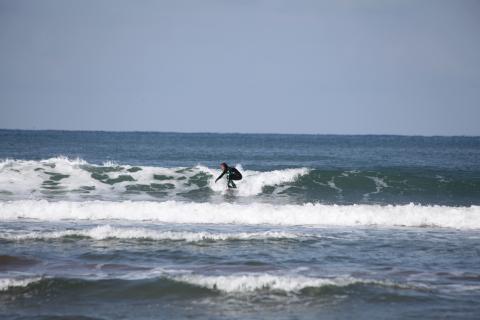 IMG_9461.JPG