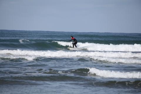 IMG_9486.JPG