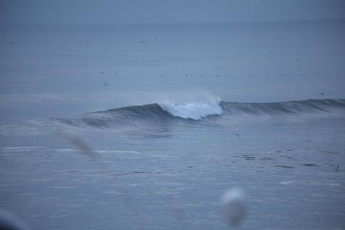 IMG_9588.JPG