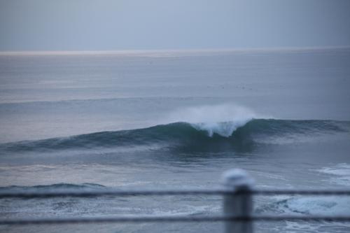 IMG_9591.JPG