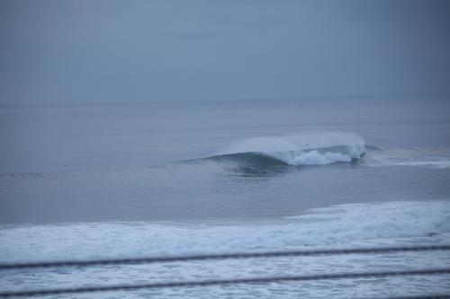 IMG_9595.JPG