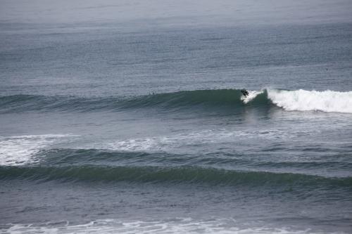 IMG_9635.JPG