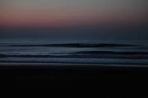 IMG_9979.JPG