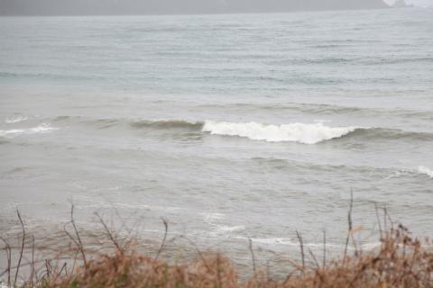 IMG_1282.JPG