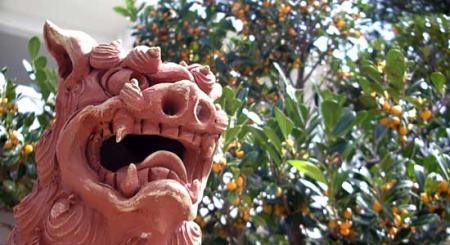 2012_1019okinawa20.jpg