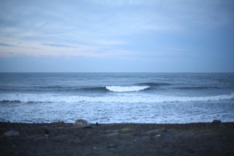 IMG_2743.JPG