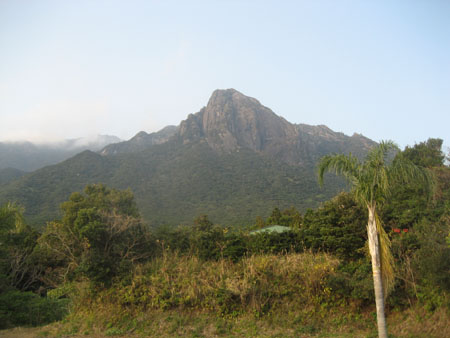 yakushima.JPGのサムネール画像