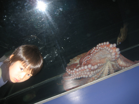 tako.jpg