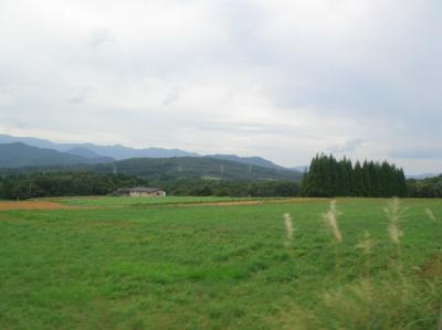 DSC04293.JPG